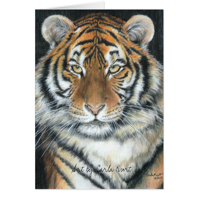 Carte de tigre (Devant)