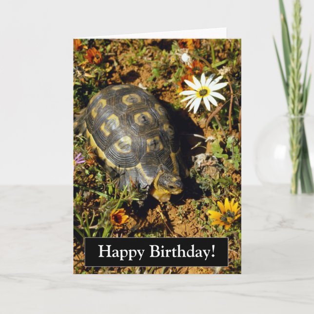Carte de tortue de joyeux anniversaire (Devant)