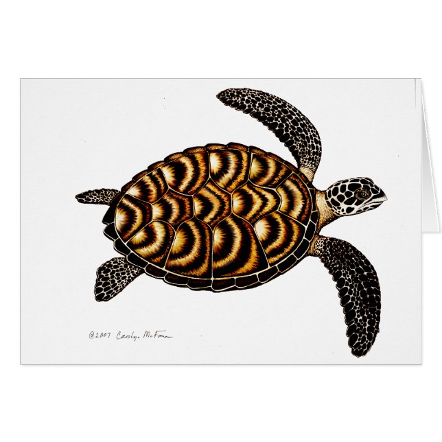 Carte de tortue de mer de Hawksbill (Devant horizontal)