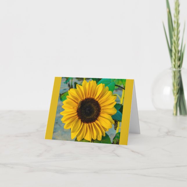 Carte de tournesol spectaculaire (Devant)