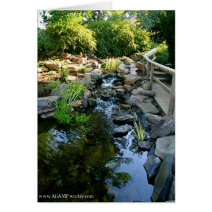 Carte de tranquilité