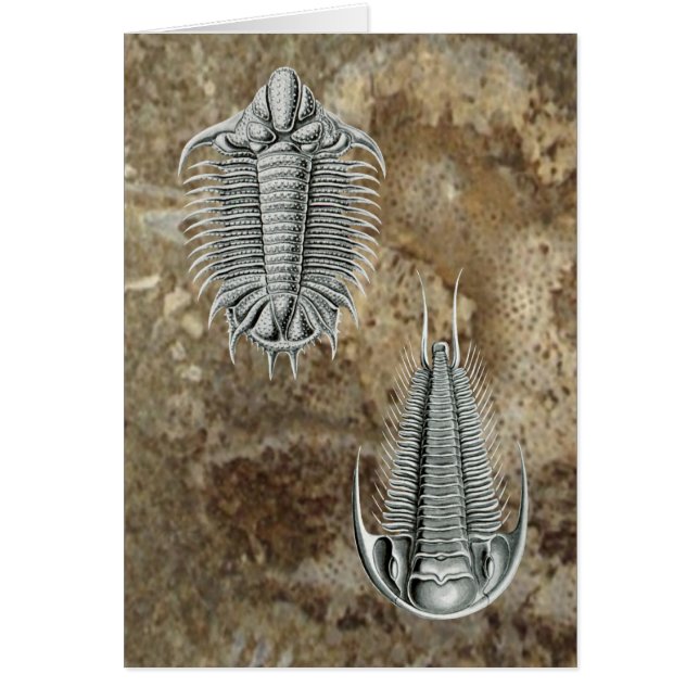 Carte de Trilobites (Devant)