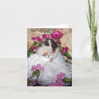 Carte de Trudy