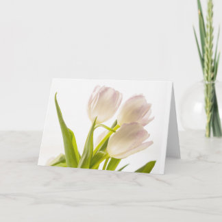 Carte de tulipes blanches toutes occasions