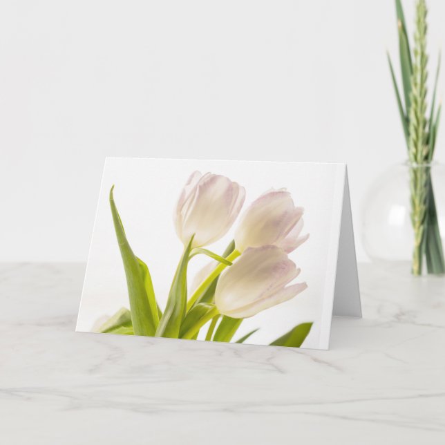 Carte de tulipes blanches toutes occasions (Devant)