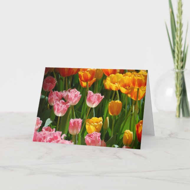 Carte de tulipes de ressort (Devant)