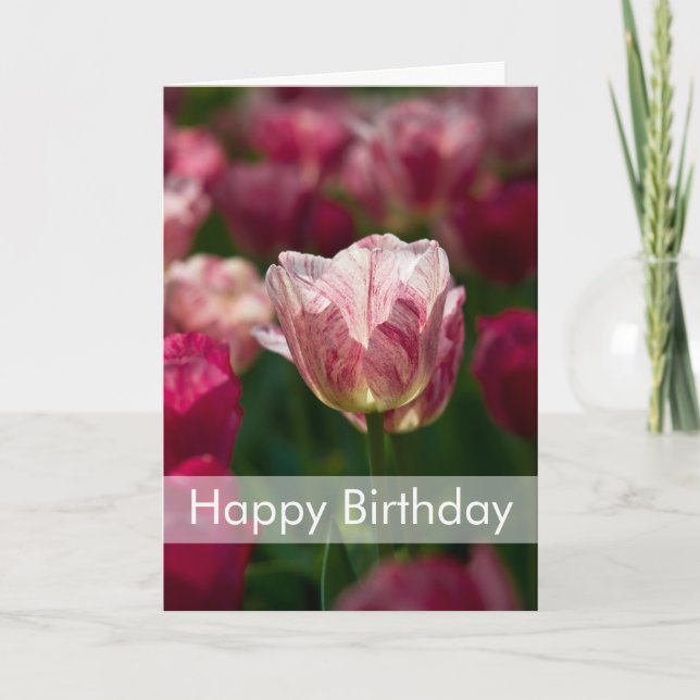 Carte de Tulips | Carte d'anniversaire (Devant)