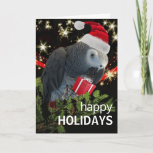 Carte de vacances African Grey Parrot