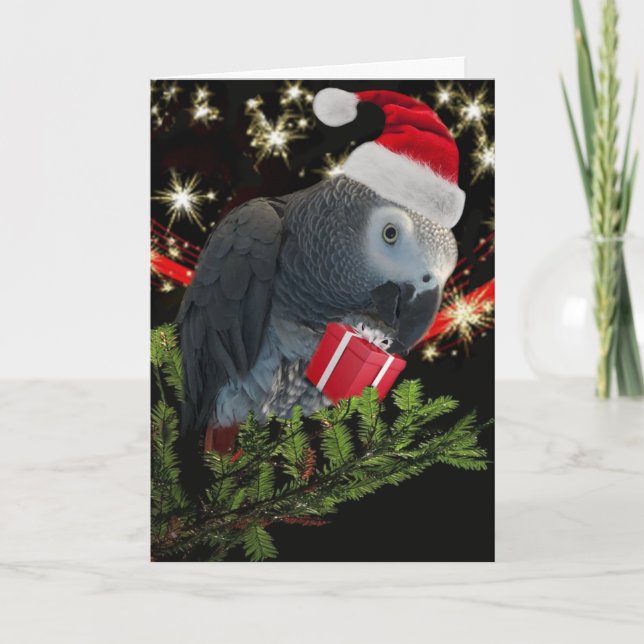 Carte de vacances African Grey Parrot (Devant)