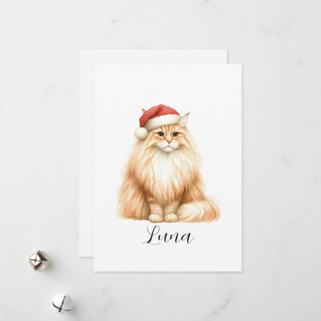 Carte de vacances au chat orange en chapeau de Pèr (Devant/Arrière en situation)
