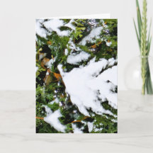 Carte de vacances avec de la neige sur les branche