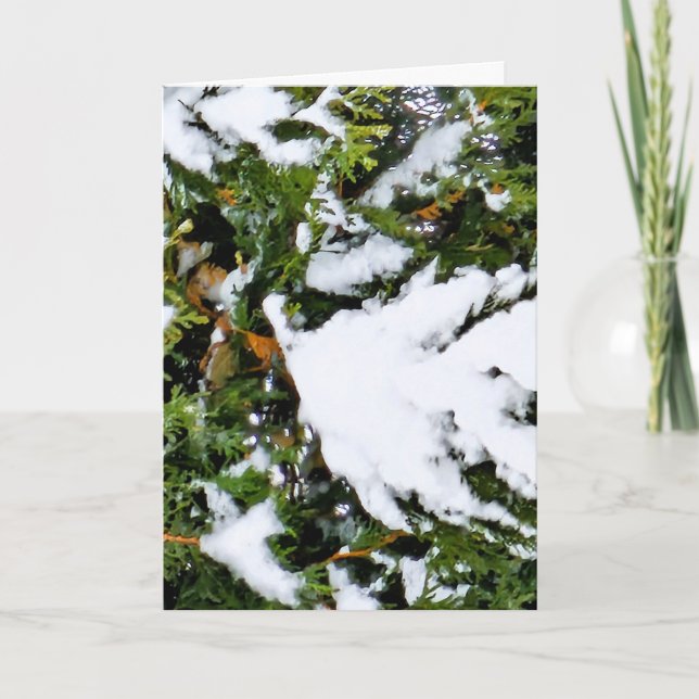 Carte de vacances avec de la neige sur les branche (Devant)