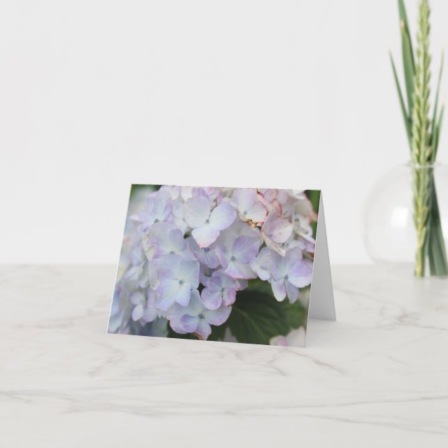 Carte de vacances avec hydrangea blanche et violet (Devant)