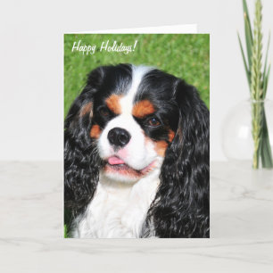 Carte de vacances Cavalier King Charles Tri-Color