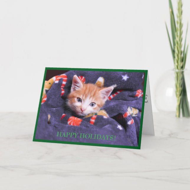 Carte de vacances Chat Châle Gris  Chaton Orange (Devant)