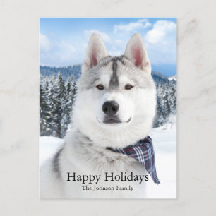 Carte de vacances Cute Pet Photo Appartement