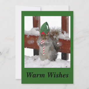 Carte de vacances Cute Squirrel Flat Green