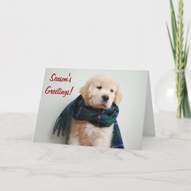 Carte de vacances de Bonnes Fêtes (Devant)