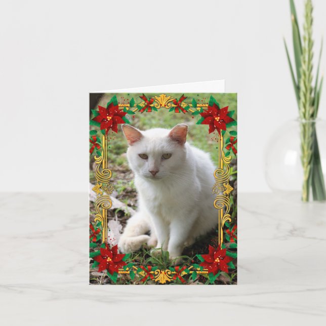 Carte de vacances de chat de rêve de Noël blanc (Devant)
