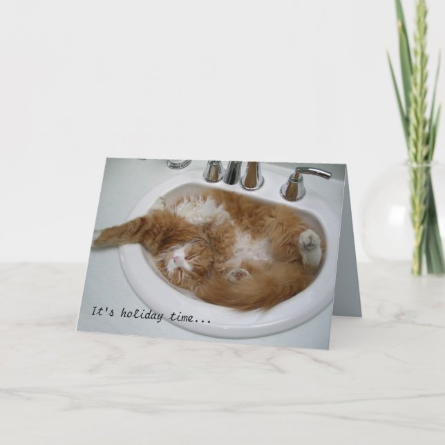 Carte de vacances de chat d'évier (Devant)