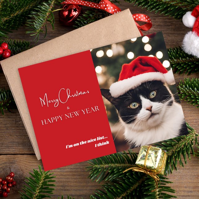 Carte de vacances de chat mignon (Créateur téléchargé)
