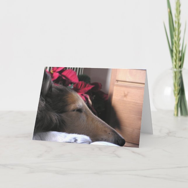 Carte de vacances de colley de sommeil (Devant)