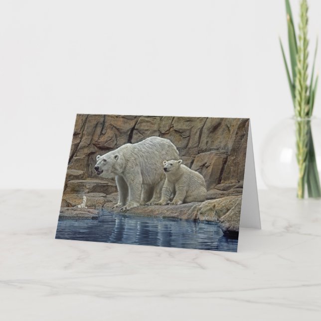 Carte de vacances de l'ours polaire et du petit (Devant)