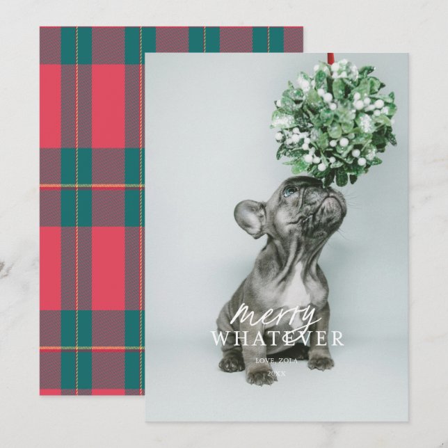 Carte de vacances de Noël avec photo de animal fam (Devant / Derrière)