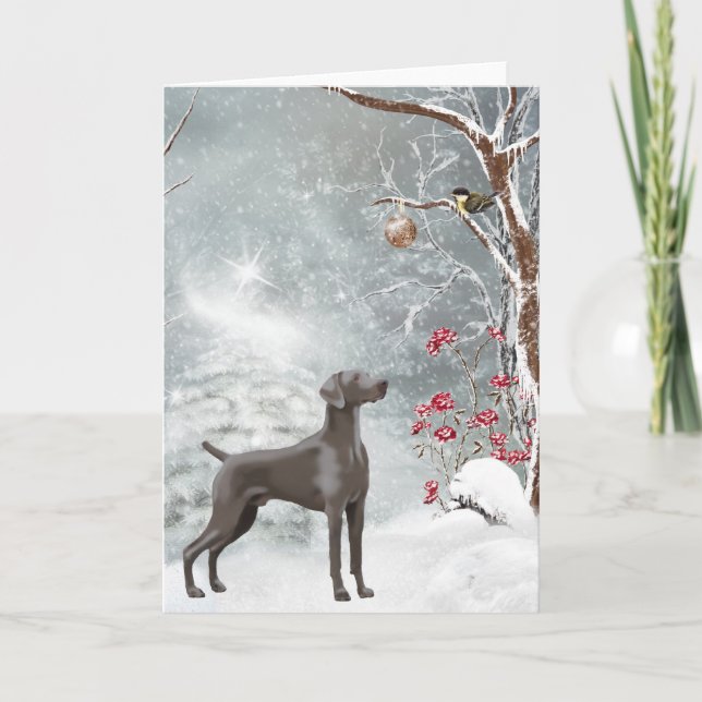 Carte de vacances de Weimaraner (Devant)