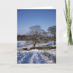 Carte de vacances de Winter Tree Lyme Park