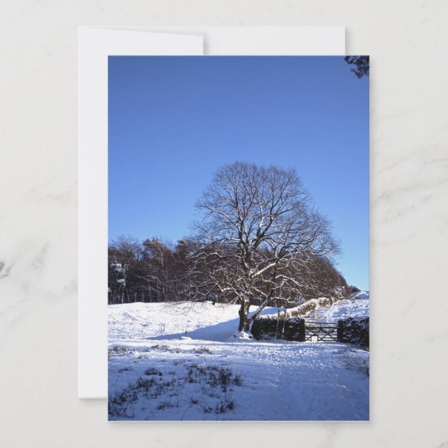 Carte de vacances de Winter Tree Lyme Park (Devant)