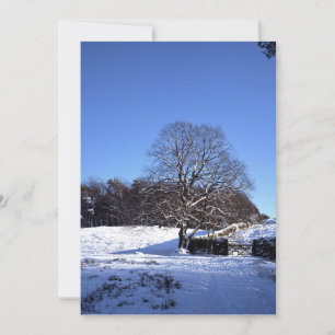 Carte de vacances de Winter Tree Lyme Park