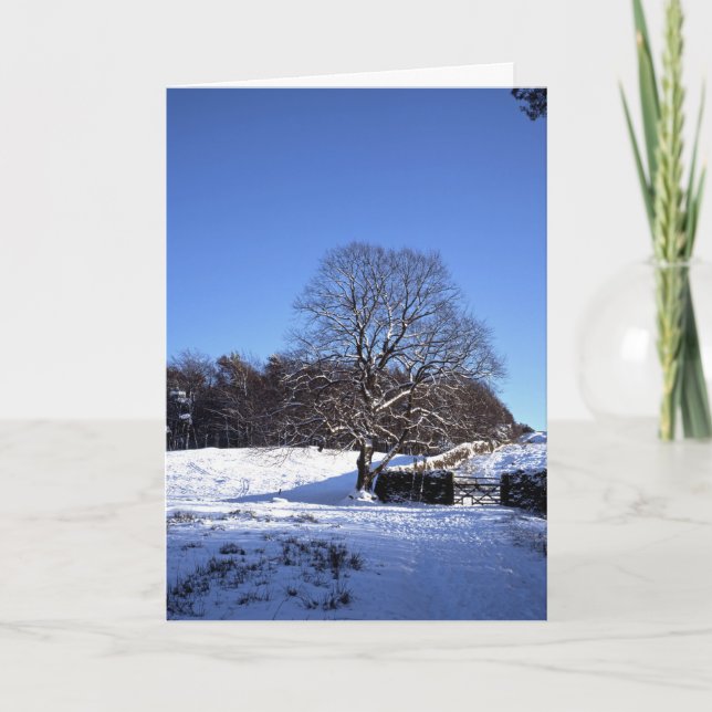 Carte de vacances de Winter Tree Lyme Park (Devant)