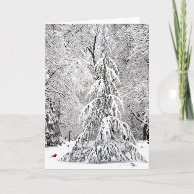 Carte de vacances d'hiver : Jardin public de Bosto (Devant)