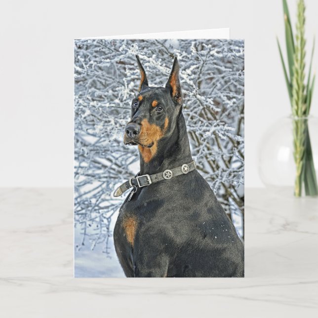 Carte de vacances Doberman Fosty Day (Devant)