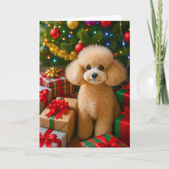 Carte de vacances du Toy Poodle (Devant)