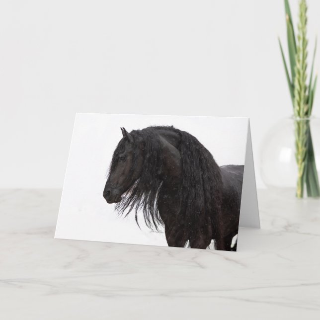 Carte de vacances Friesian Stallions (Devant)