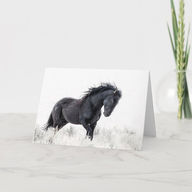 Carte de vacances "Ice Dancer" (Devant)