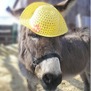 Carte de vacances "Le lapin de Pâques"