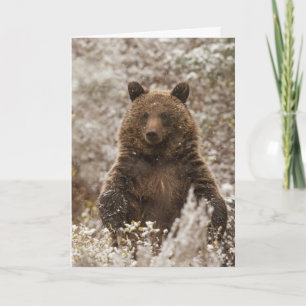 Carte de vacances "Let it Snow"