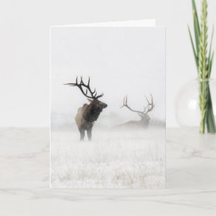 Carte de vacances "Lost in the Storm"