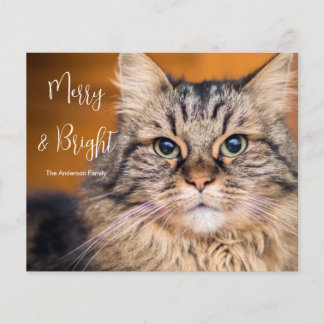 Carte de vacances Merry et Bright Photo Cat