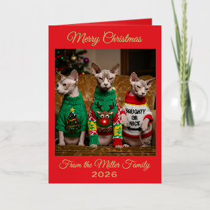 Carte De Vacances Métallisée Chats Sphynx Personnalisés Photo de Noël Drôle
