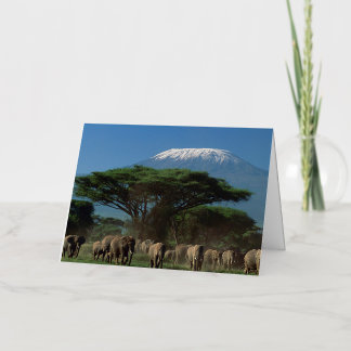 Carte De Vacances Métallisée Éléphants du Mont Kilimandjaro