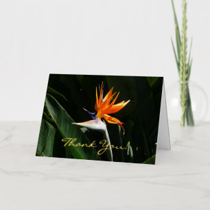 Carte De Vacances Métallisée Fleur tropicale orange oiseau de paradis