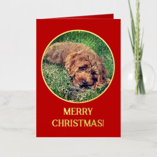 Carte De Vacances Métallisée Golden Doodle Rouge