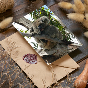 Carte De Vacances Métallisée Koala - Dormir
