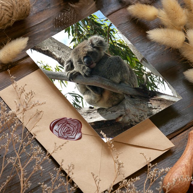 Carte De Vacances Métallisée Koala - Dormir (Créateur téléchargé)