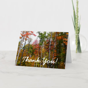 Carte De Vacances Métallisée Merci pour la photo d'automne coloré en forêt