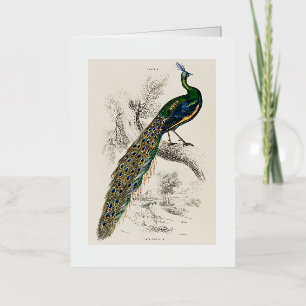 Carte De Vacances Métallisée Vintage Peacock Histoire naturelle Imprimer